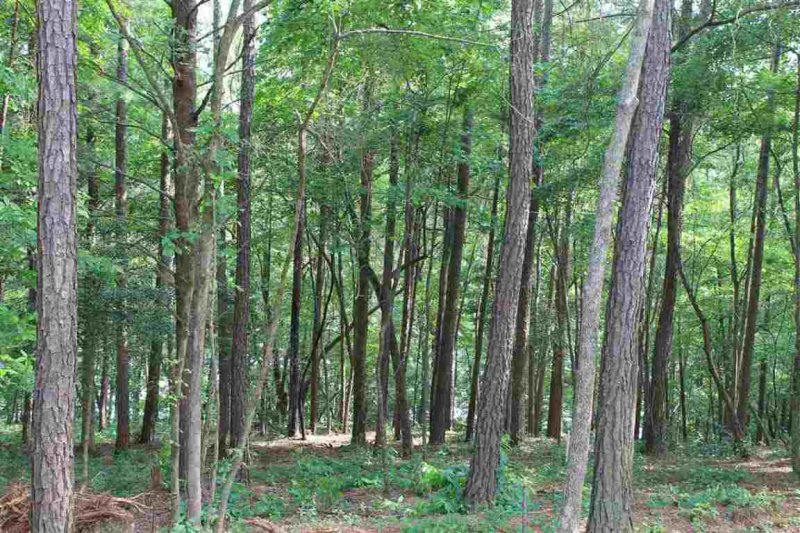 Property image 2 at Lot 96 Peninsula Pointe Drive, West Union, SC 29696