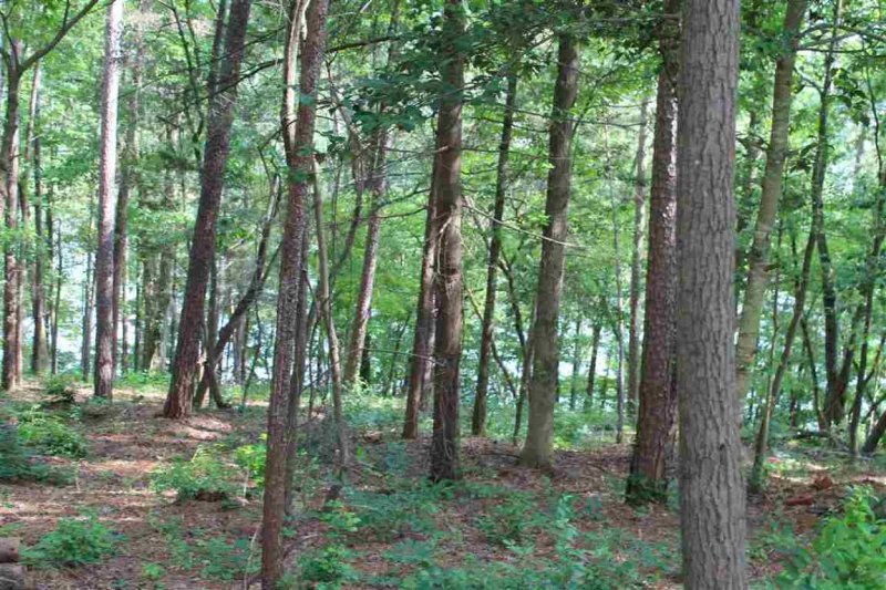 Property image 3 at Lot 96 Peninsula Pointe Drive, West Union, SC 29696