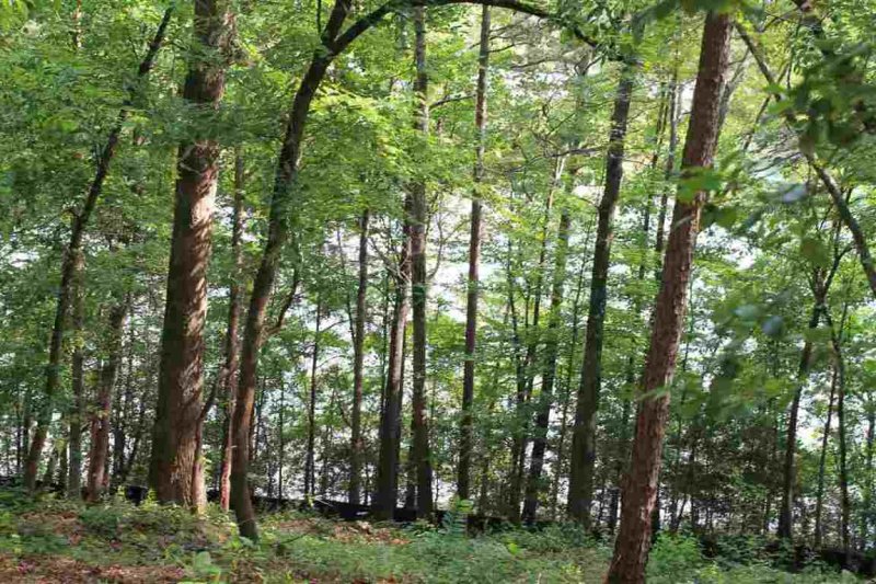 Property image 4 at Lot 96 Peninsula Pointe Drive, West Union, SC 29696