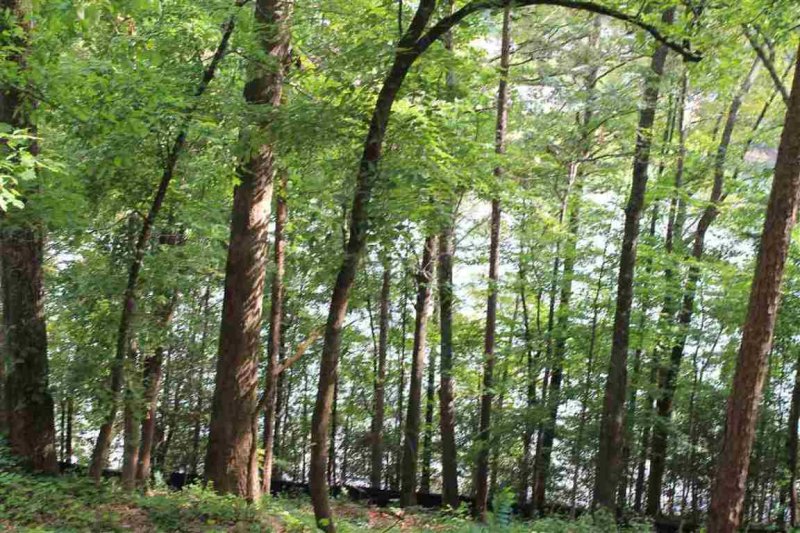 Property image 5 at Lot 96 Peninsula Pointe Drive, West Union, SC 29696