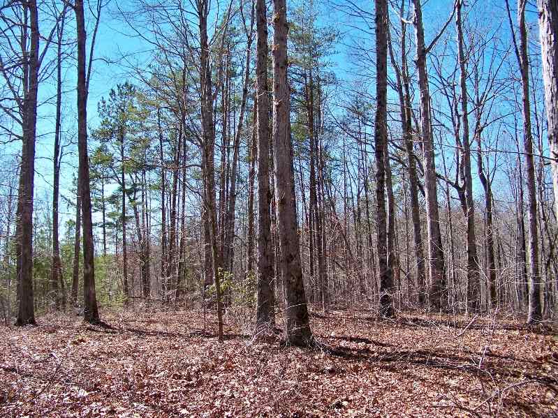 Property image 5 at 245 Serenity Drive, Pickens, SC 29671