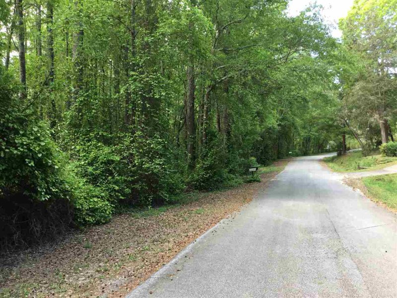 Property image 4 at Lots Mouchet Circle, Starr, SC 29684