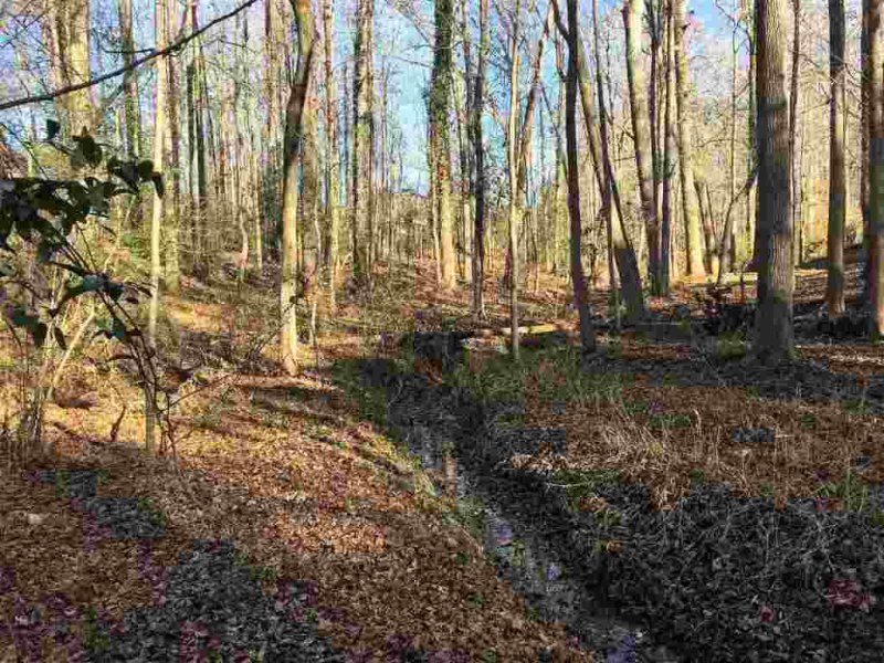 Property image 5 at 209 Lakefront Road, Townville, SC 29689