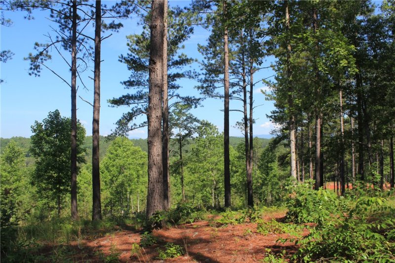 Property image 3 at Lot 55 Highland Ridge Road, Salem, SC 29676