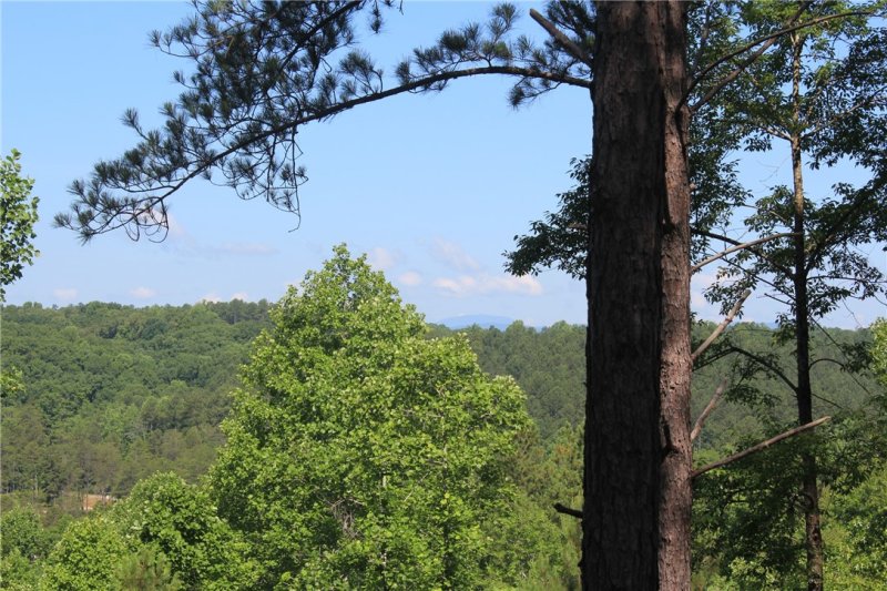 Property image 5 at Lot 55 Highland Ridge Road, Salem, SC 29676