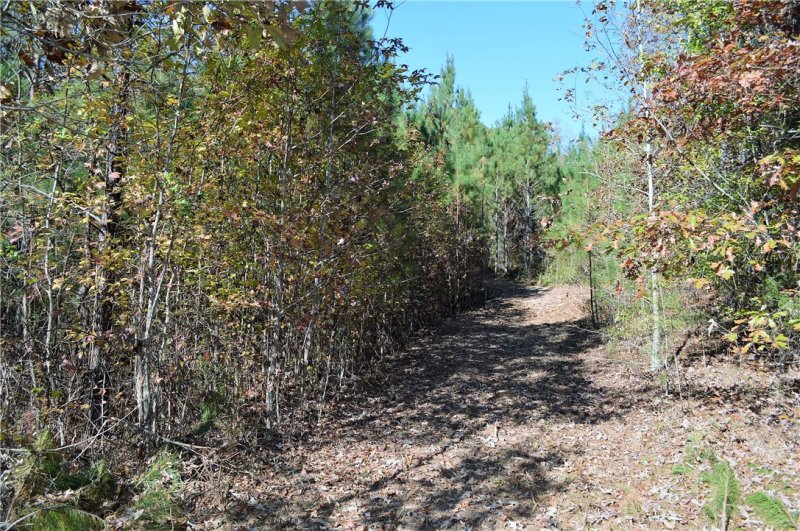 Property image 5 at 205 Bimini Drive, Seneca, SC 29672