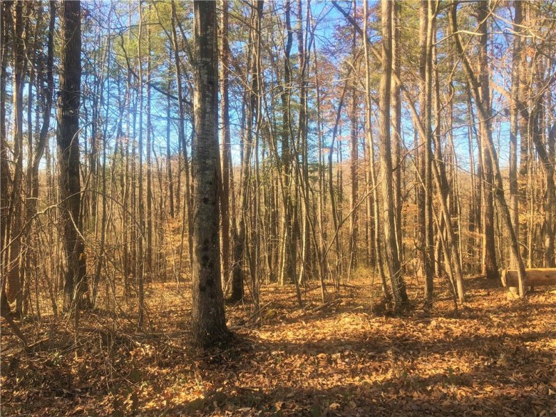 Property image 2 at 00 Forest Acre Circle, Walhalla, SC 29691