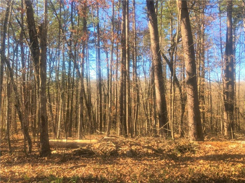 Property image 5 at 00 Forest Acre Circle, Walhalla, SC 29691