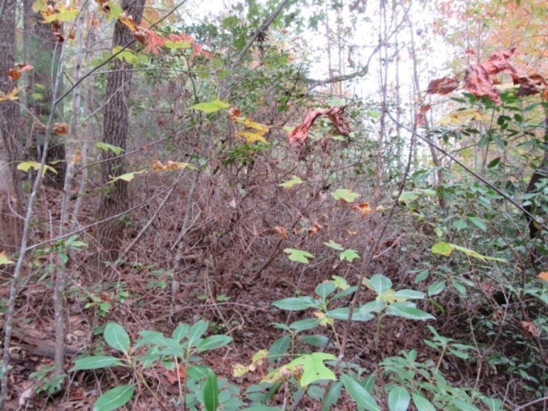 Property image 3 at 329 Woodmere Drive, Pickens, SC 29671