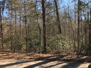 Property image 2 at 121 Mill Pond Road, Powdersville, SC 29642