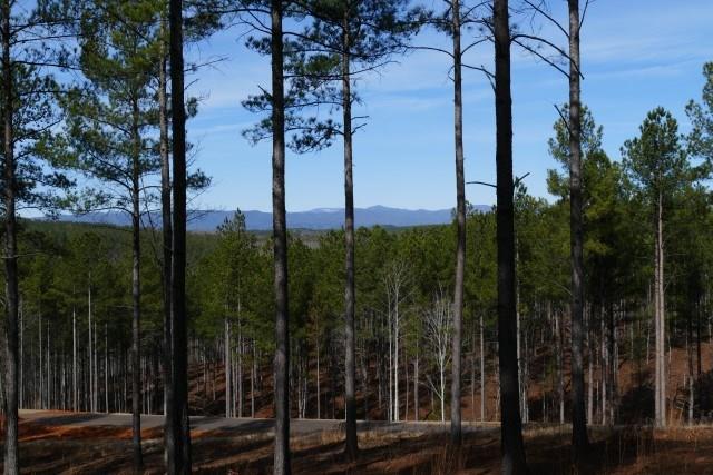 Property image 3 at Lot 54 Highland Ridge Road, Salem, SC 29676