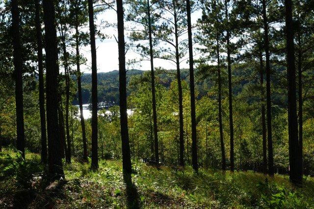 Property image 5 at Lot 54 Highland Ridge Road, Salem, SC 29676