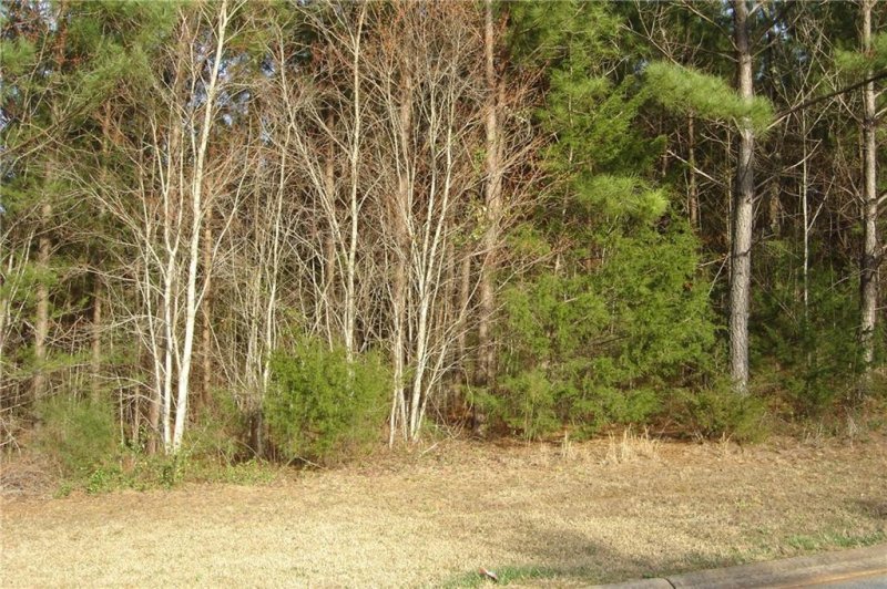 Property image 5 at 503 Shooting Star Way, Seneca, SC 29672