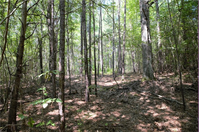 Property image 3 at 21 Talons Point Road, Seneca, SC 29672