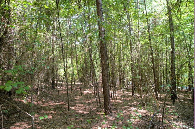 Property image 4 at 21 Talons Point Road, Seneca, SC 29672