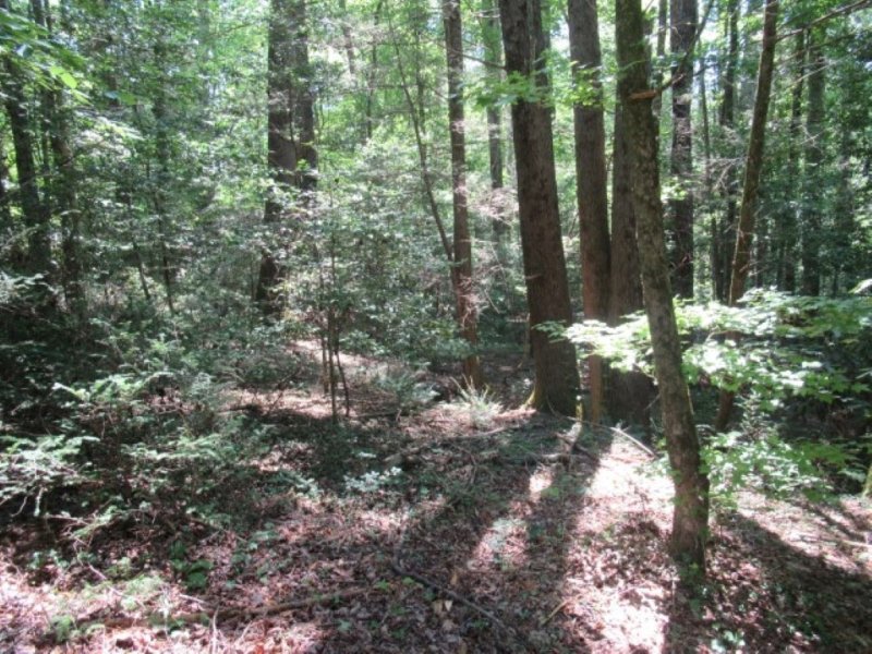 Property image 3 at 130 Hambys Way, Pickens, SC 29671