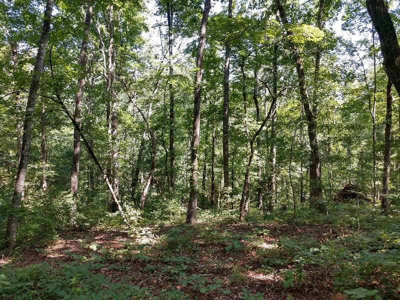 Property image 3 at 608 Scharlin Drive, Pickens, SC 29671