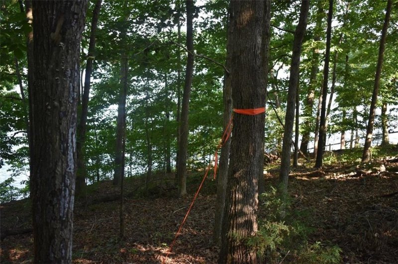 Property image 3 at 00 Sequoyah Road, Fair Play, SC 29643