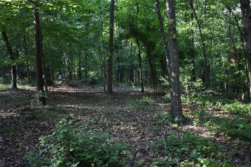 Property image 5 at 00 Sequoyah Road, Fair Play, SC 29643