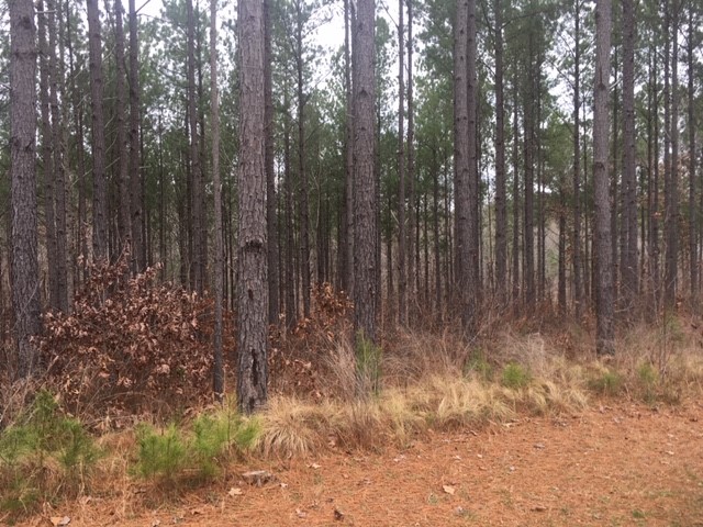 Property image 4 at Lot 68 Boulder Creek Drive, West Union, SC 29696