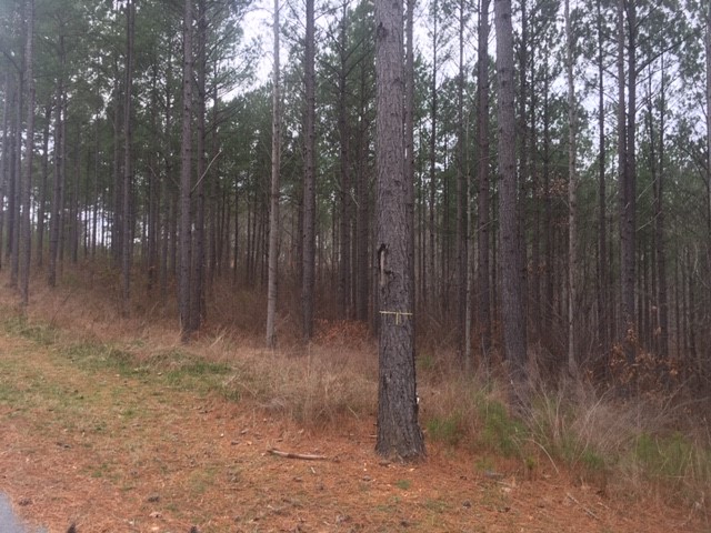 Property image 5 at Lot 68 Boulder Creek Drive, West Union, SC 29696