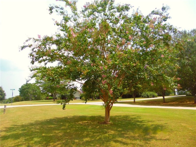 Property image 5 at 100 Carriage Lane, Pendleton, SC 29670