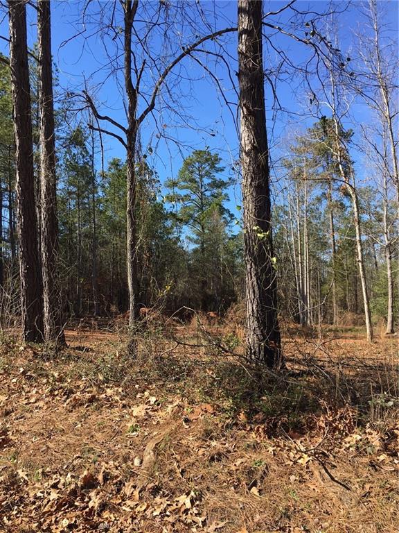 Property image 2 at 104 Buteos Way, Anderson, SC 29621