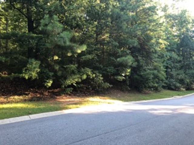 Property image 2 at 0 Summit North Drive, Seneca, SC 29672