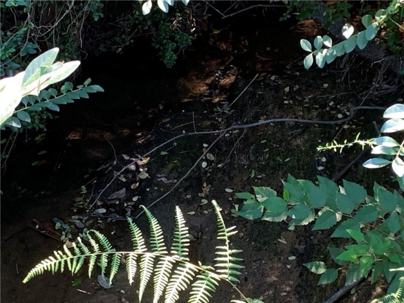 Property image 5 at 3006 Little Creek Drive, Anderson, SC 29621