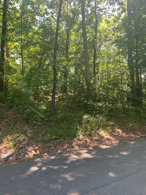 Property image 2 at 225 Clarke Stream Drive, Anderson, SC 29621