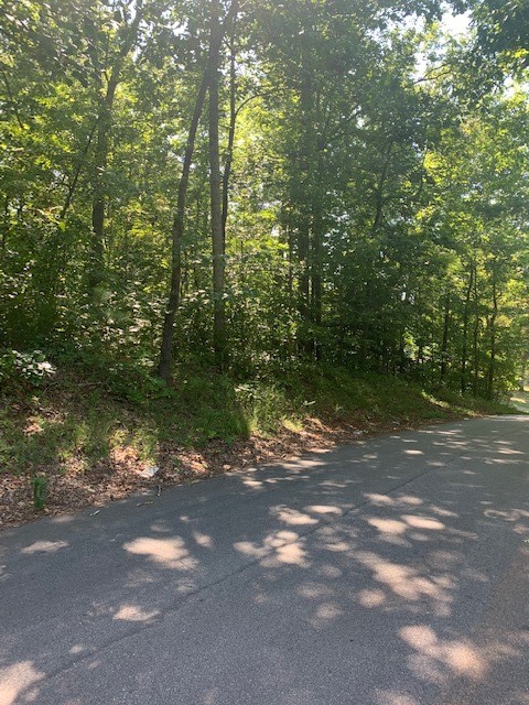 Property image 3 at 225 Clarke Stream Drive, Anderson, SC 29621