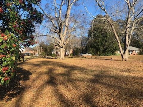 Property image 5 at 606 Pine Street, Seneca, SC 29678