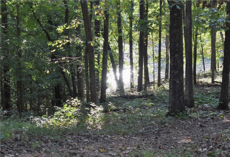 Property image 2 at 90 Lakestream Court, Seneca, SC 29672