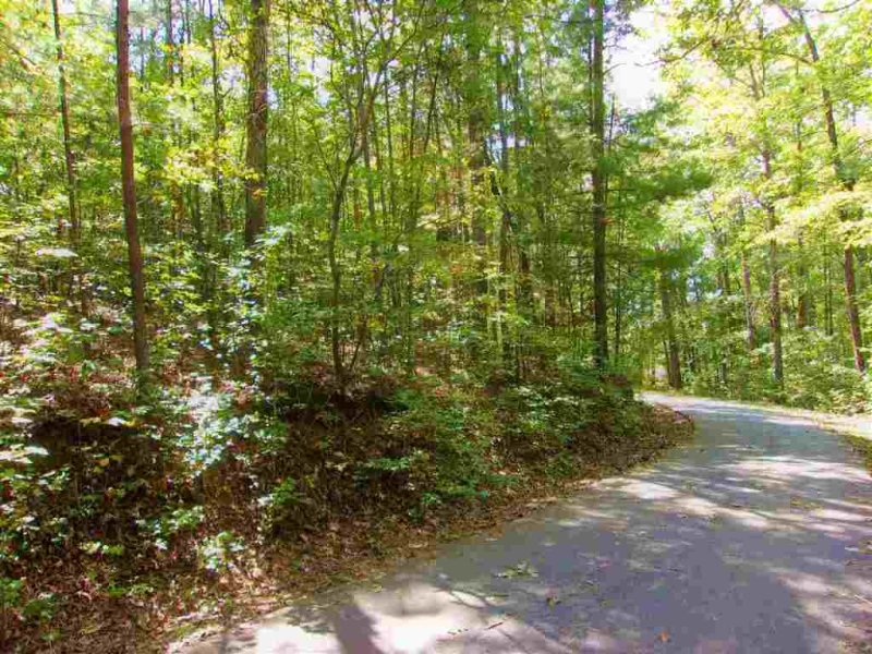 Property image 2 at 00 The Bear Boulevard, Tamassee, SC 29686