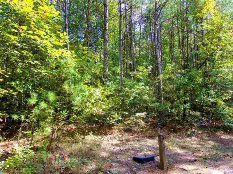 Property image 4 at 00 The Bear Boulevard, Tamassee, SC 29686