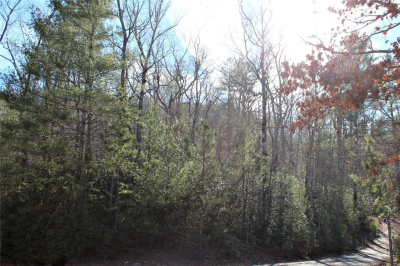 Property image 4 at Lot 38 Bay View Road, Salem, SC 29676