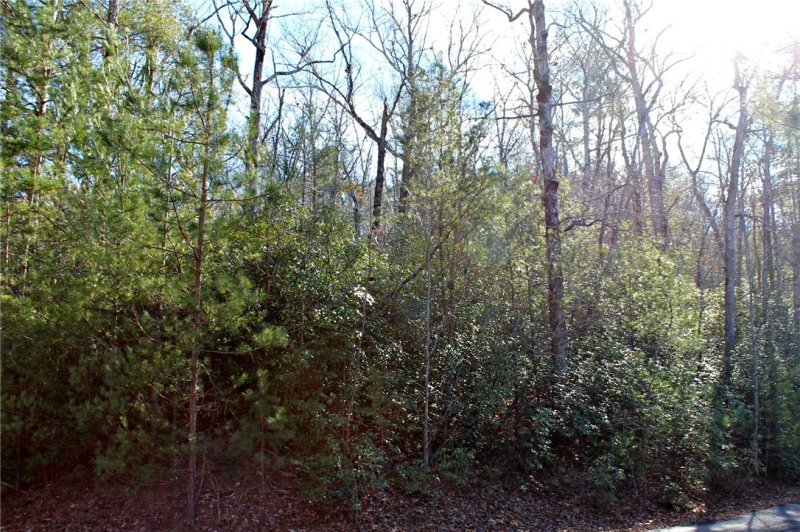 Property image 5 at Lot 38 Bay View Road, Salem, SC 29676