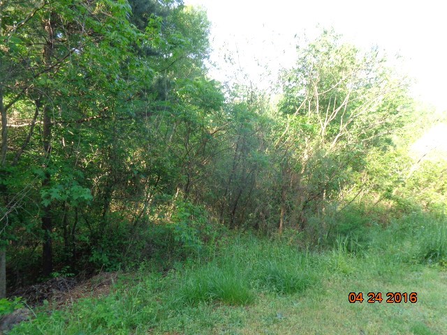 Property image 2 at 115 Newington Circle, Anderson, SC 29625