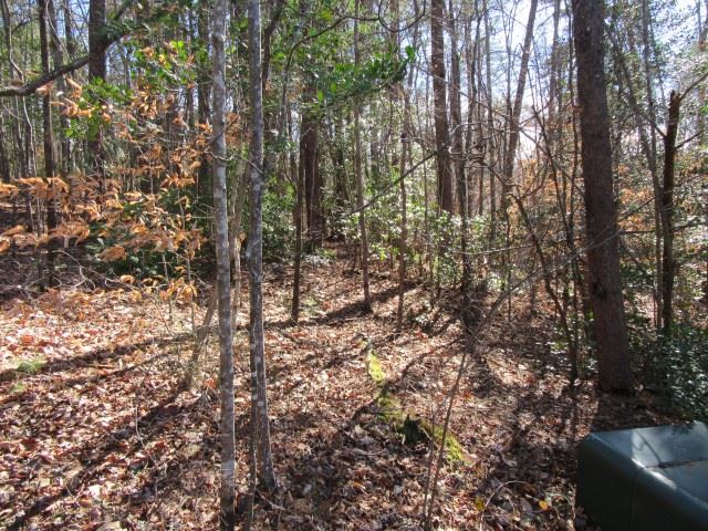 Property image 2 at 111 Broken Bow Run, Pickens, SC 29671