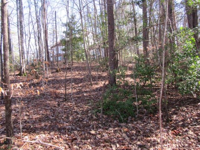 Property image 3 at 111 Broken Bow Run, Pickens, SC 29671