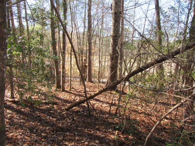 Property image 4 at 111 Broken Bow Run, Pickens, SC 29671