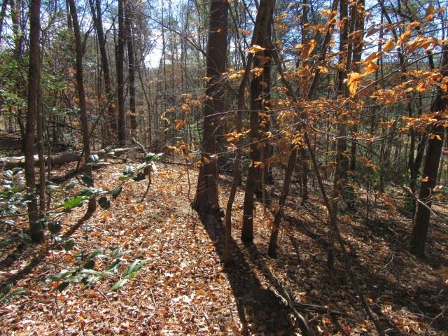 Property image 5 at 111 Broken Bow Run, Pickens, SC 29671