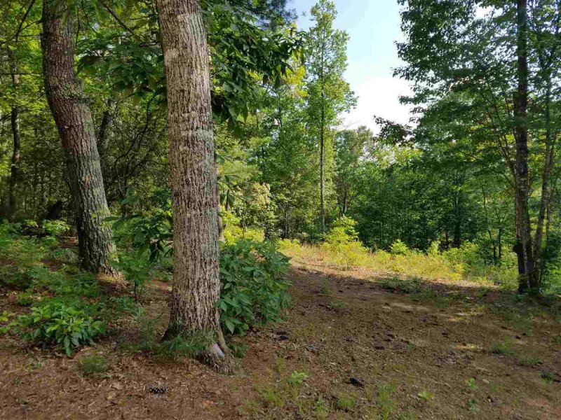 Property image 2 at 119 Oolenoy Court, Pickens, SC 29671