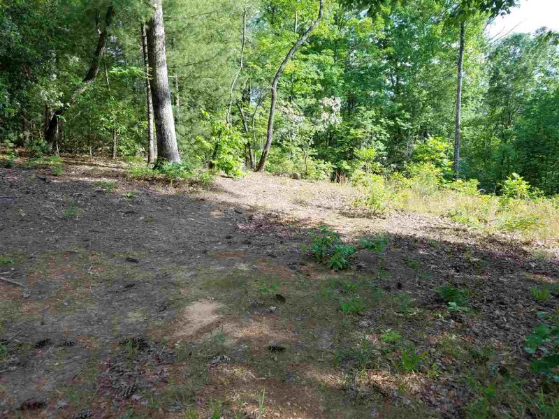 Property image 3 at 119 Oolenoy Court, Pickens, SC 29671