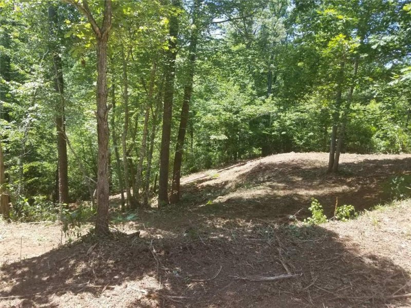 Property image 5 at 402 Moonbeam Way, Seneca, SC 29672