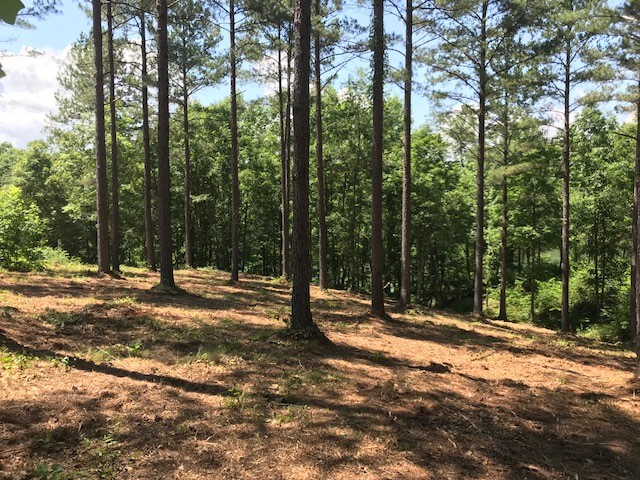 Property image 4 at Lot 30 Highland Shores Mountain Vista Dr, Salem, SC 29676