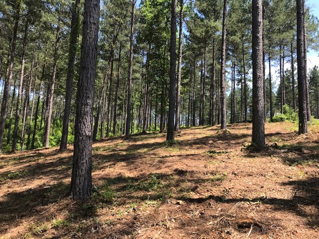 Property image 5 at Lot 30 Highland Shores Mountain Vista Dr, Salem, SC 29676