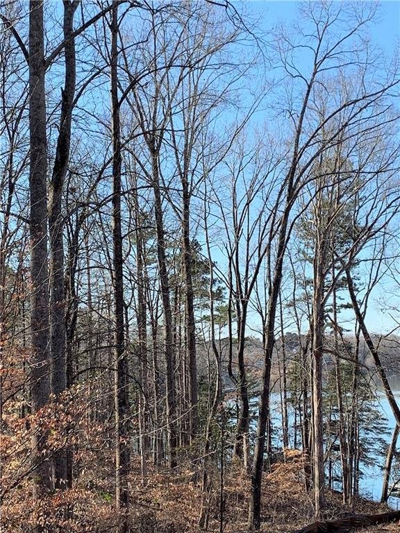 Property image 5 at 307 Bay Hill Drive, West Union, SC 29696