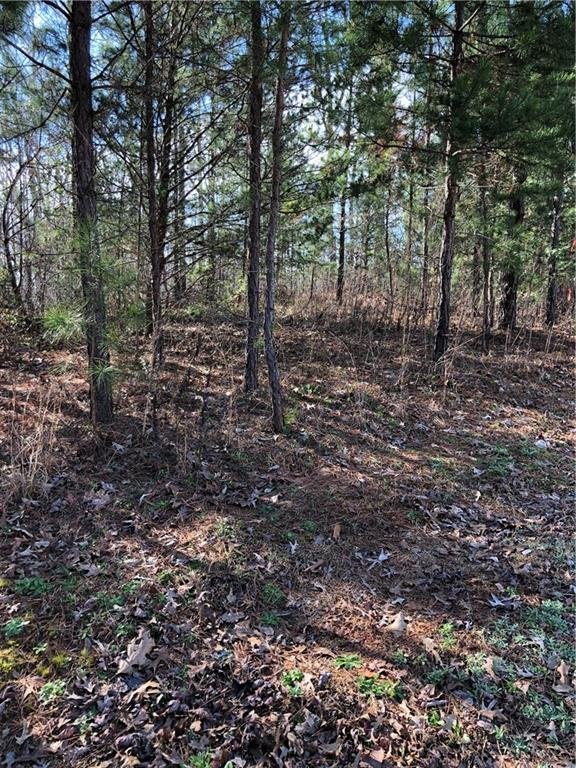 Property image 2 at 00 Ridgeside Court, West Union, SC 29696