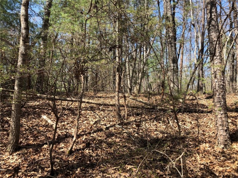 Property image 4 at 804 Inland Trail, Salem, SC 29676